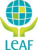 Leaf logo